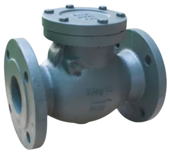 Magno check valve type swing 